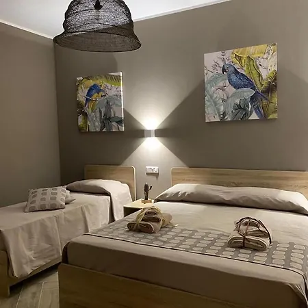 Couette-café The Dream 3*